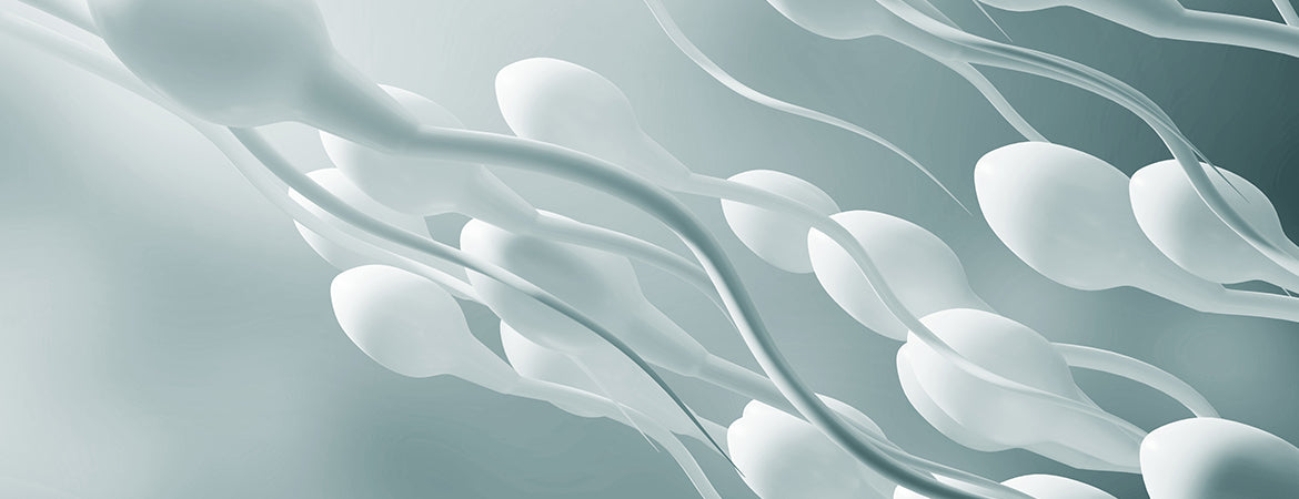 Mitä sperma on ja siemennesteen nielemisen vaikutukset