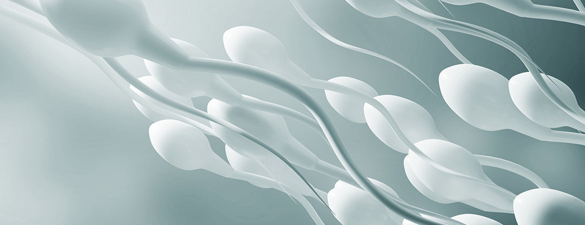 Mitä sperma on ja siemennesteen nielemisen vaikutukset