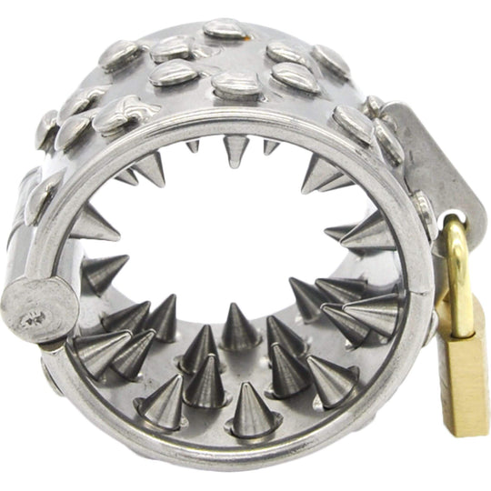 Siveyshampaat, 4 riviä